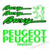 Motormatrica, Motor dekorcik - Robog matrick - Peugeot - Jet C-tech