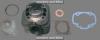 Barrel & piston kit Peugeot Elyseo 100 99-03