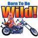 Born to be wild MOTOROS PL