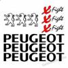 Motormatrica, Motor dekorcik - Robog matrick - Peugeot - X-Fight