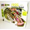Tavi bka - revell x-ray anatmia makett 02096