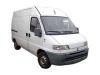 FIAT Ducato Maxi Kombi Bus